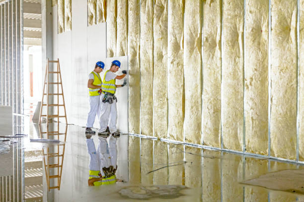 Best Eco-Friendly Insulation in Sweet Home, OR